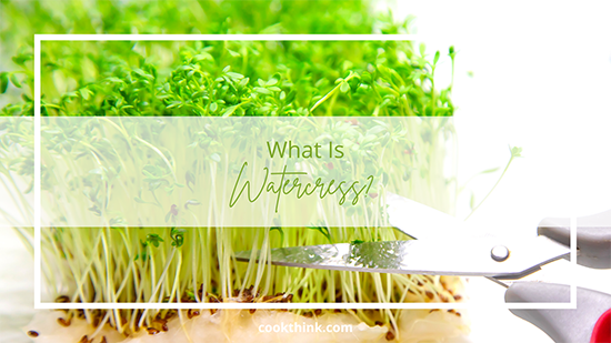 All About Watercress