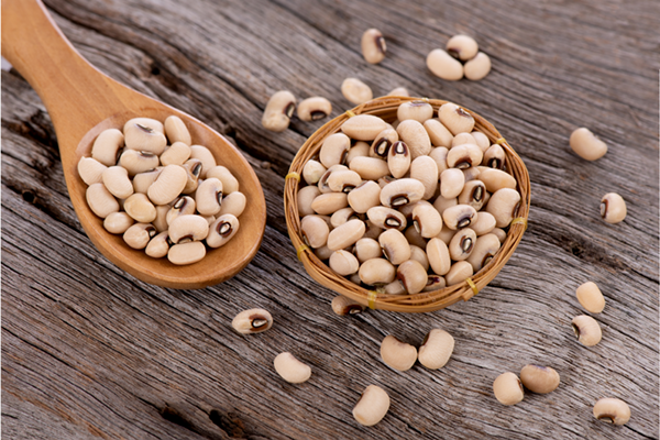 White Beans Compared