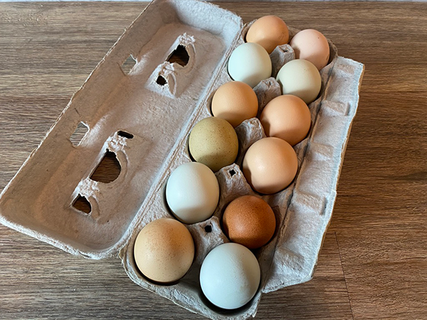 fresh farm eggs in carton