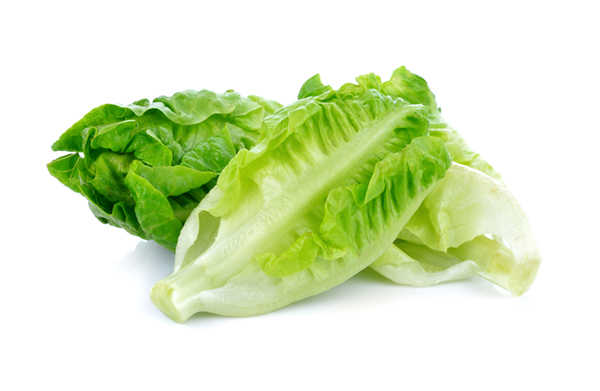 How to Cut a Head of Lettuce for Salad. Fresh Lettuce. 