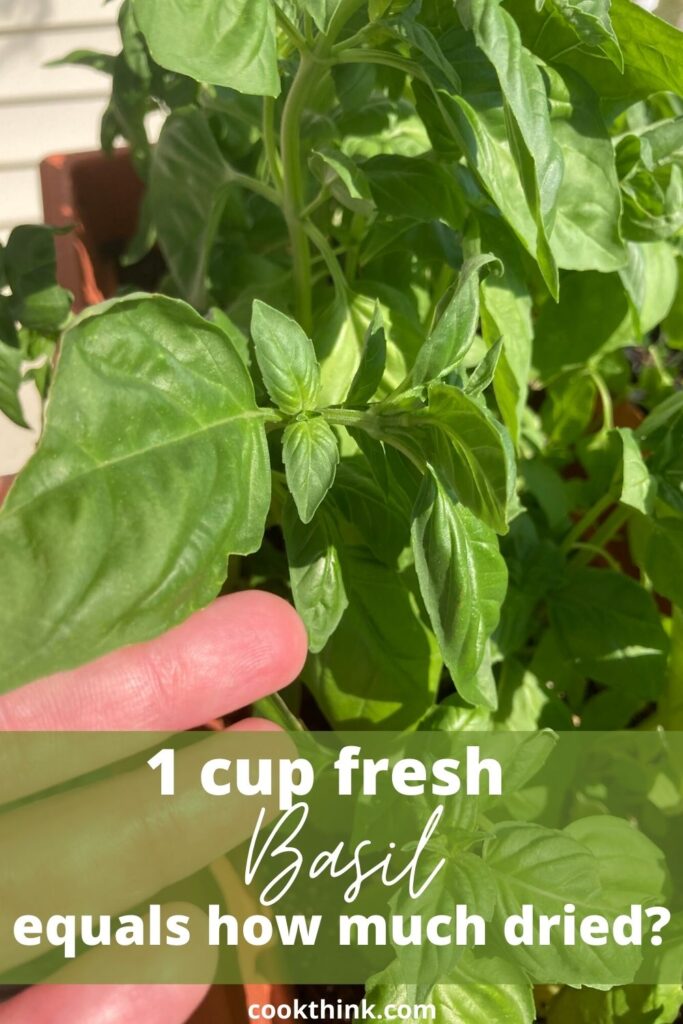 1 cup fresh basil equals how much dried. pinterest image