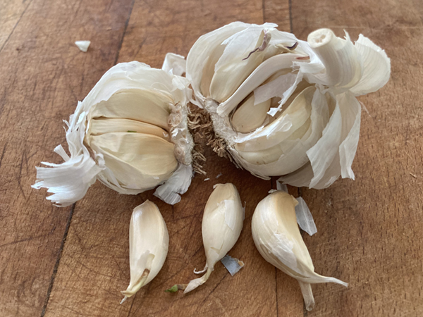 how to tell if garlic is bad horizontal
