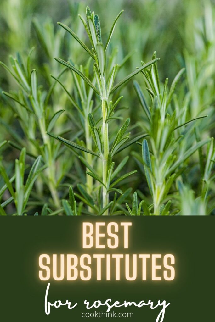 best substitutes for rosemary pinterest pin