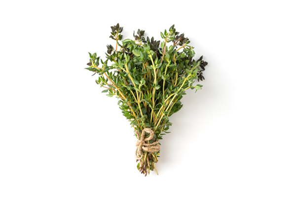bunch of thyme