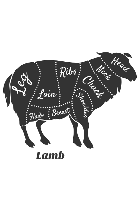 Lamb diagram
