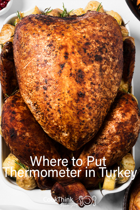 Where to Put Thermometer in Turkey pinterest image