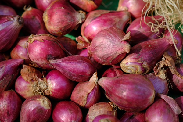 a pile of shallots