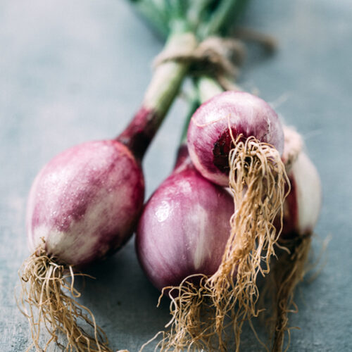 shallots with roots